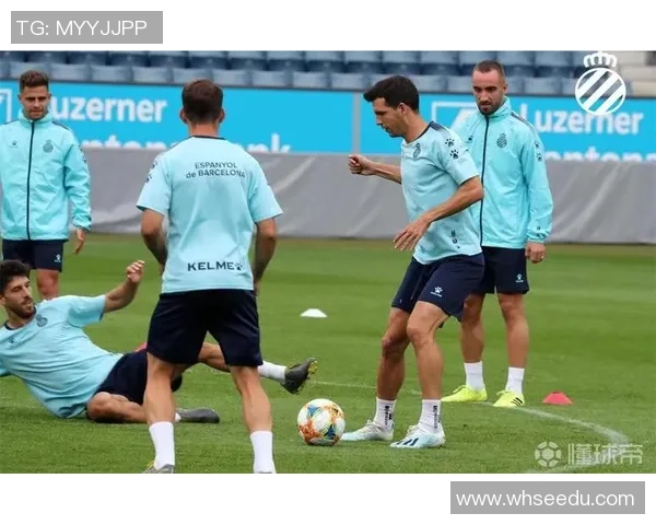 西班牙人对阵卢塞恩的精彩比赛结果及赛后分析